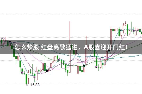 怎么炒股 红盘高歌猛进，A股喜迎开门红！