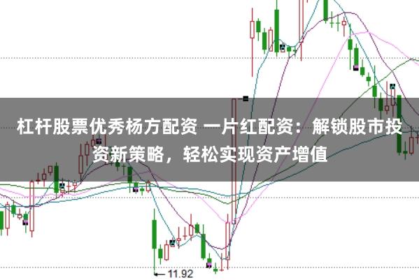 杠杆股票优秀杨方配资 一片红配资：解锁股市投资新策略，轻松实现资产增值