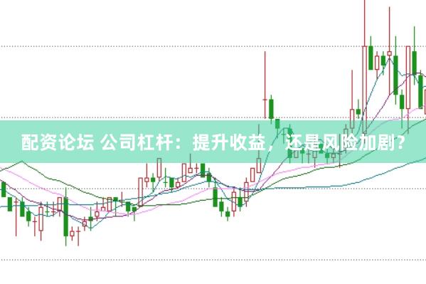 配资论坛 公司杠杆：提升收益，还是风险加剧？
