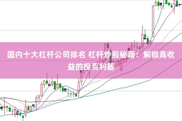 国内十大杠杆公司排名 杠杆炒股秘籍：解锁高收益的投资利器