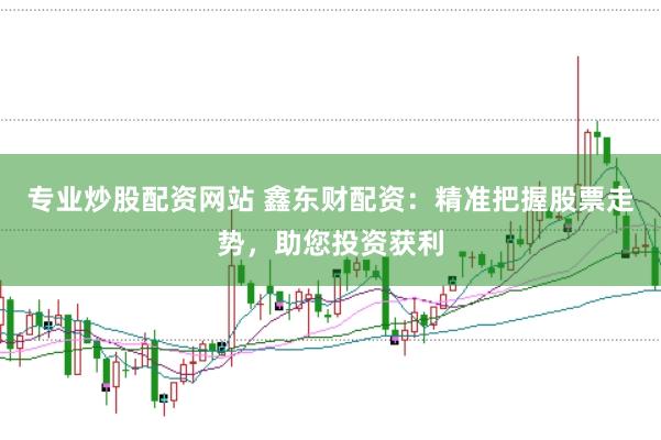 专业炒股配资网站 鑫东财配资：精准把握股票走势，助您投资获利