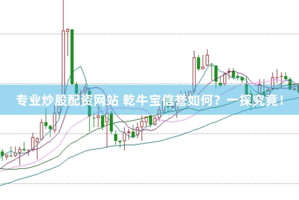 专业炒股配资网站 乾牛宝信誉如何？一探究竟！