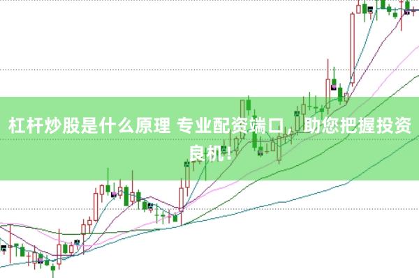 杠杆炒股是什么原理 专业配资端口，助您把握投资良机！