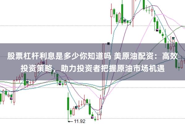 股票杠杆利息是多少你知道吗 美原油配资：高效投资策略，助力投资者把握原油市场机遇