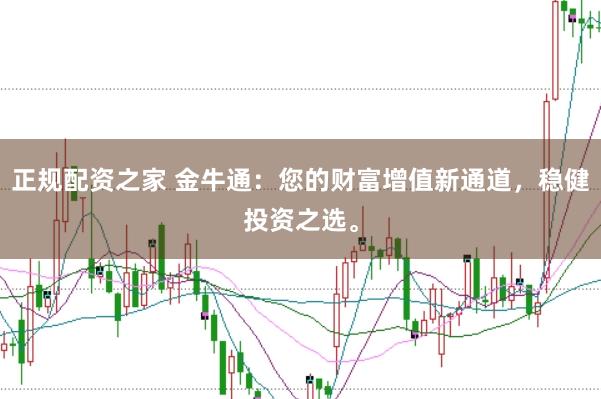 正规配资之家 金牛通：您的财富增值新通道，稳健投资之选。