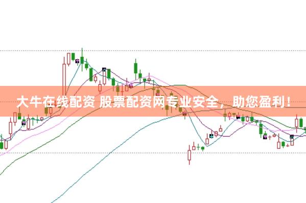 大牛在线配资 股票配资网专业安全，助您盈利！