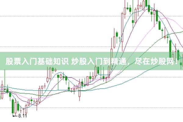 股票入门基础知识 炒股入门到精通，尽在炒股网！
