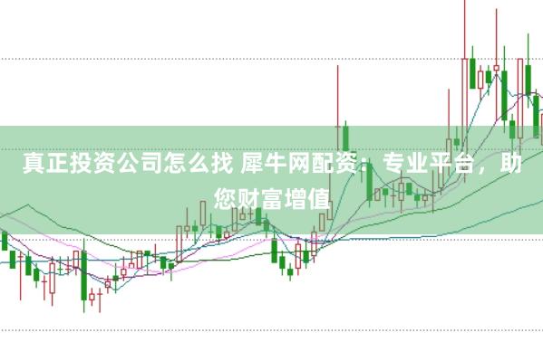 真正投资公司怎么找 犀牛网配资：专业平台，助您财富增值