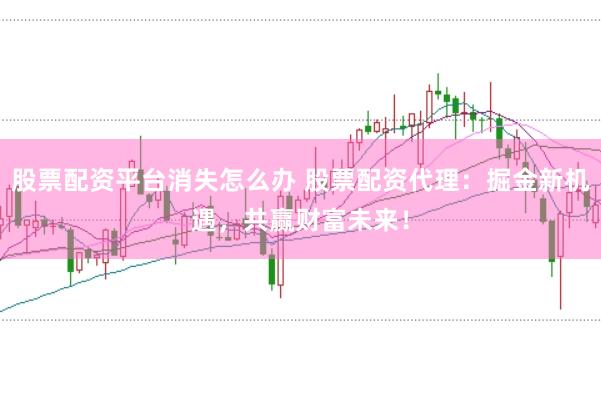 股票配资平台消失怎么办 股票配资代理：掘金新机遇，共赢财富未来！