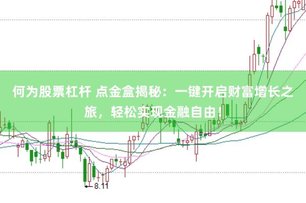 何为股票杠杆 点金盒揭秘：一键开启财富增长之旅，轻松实现金融自由！