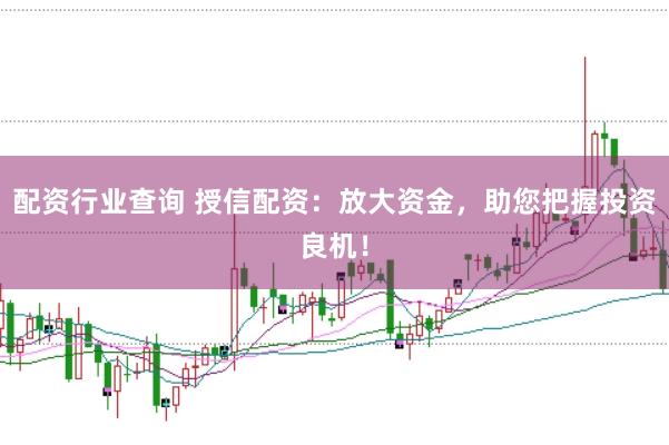 配资行业查询 授信配资：放大资金，助您把握投资良机！
