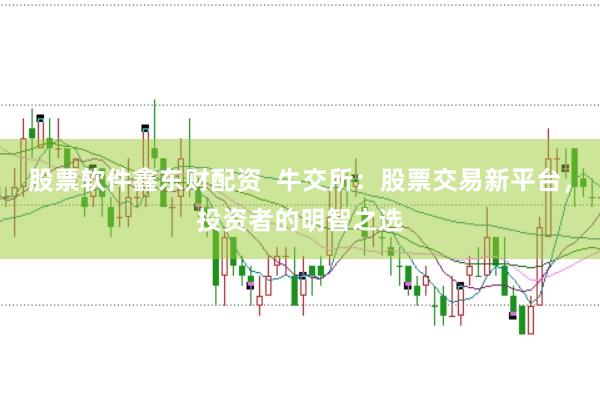 股票软件鑫东财配资  牛交所：股票交易新平台，投资者的明智之选