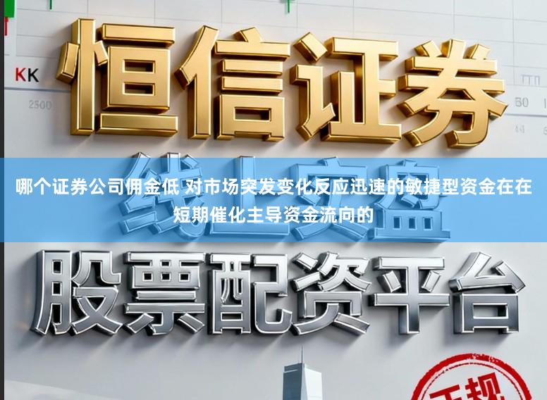 哪个证券公司佣金低 对市场突发变化反应迅速的敏捷型资金在在短期催化主导资金流向的