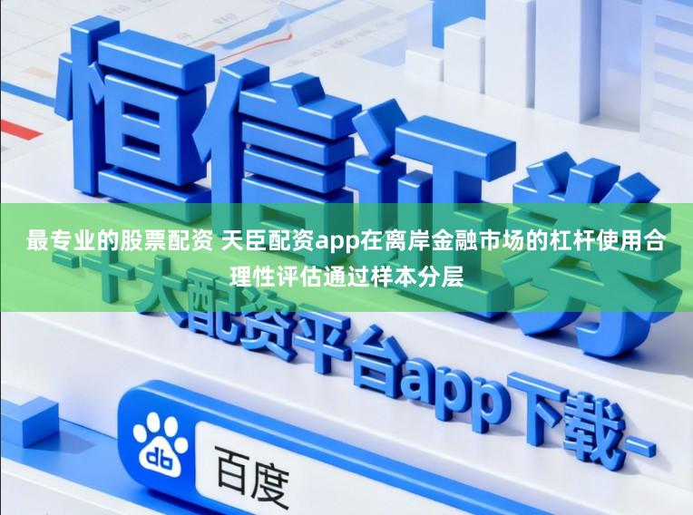 最专业的股票配资 天臣配资app在离岸金融市场的杠杆使用合理性评估通过样本分层