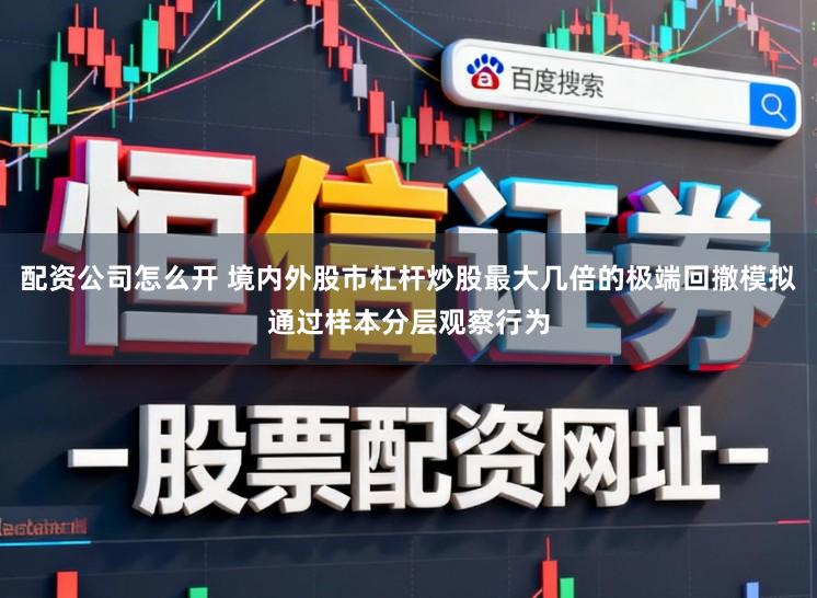 配资公司怎么开 境内外股市杠杆炒股最大几倍的极端回撤模拟通过样本分层观察行为