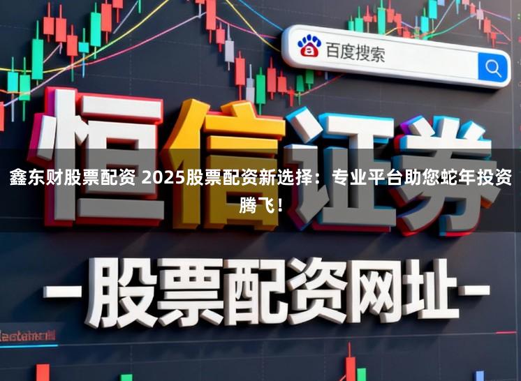鑫东财股票配资 2025股票配资新选择：专业平台助您蛇年投资腾飞！